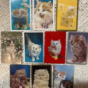 Op de afbeelding: Een verzameling vintage speelkaarten met schattige kittenillustraties. Elke kaart toont een ander pluizig kitten in verschillende poses, met achtergronden van bloemen, manden en effen kleuren. De kaarten zijn gerangschikt op een wit, getextureerd oppervlak.