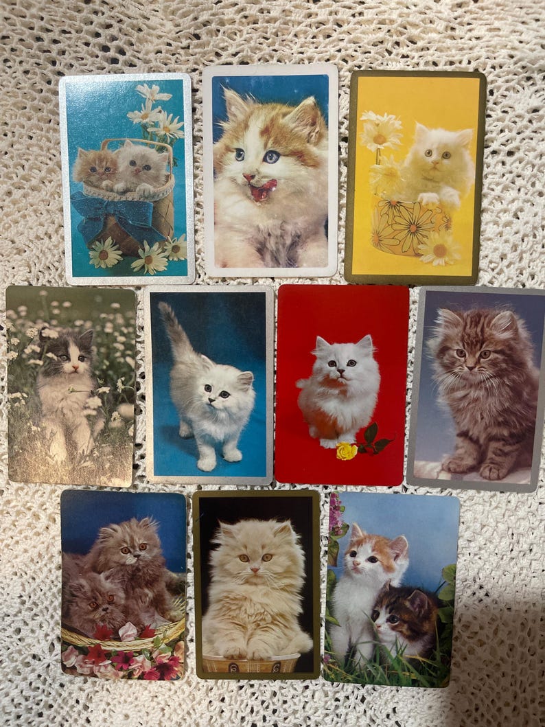 Op de afbeelding: Een verzameling vintage speelkaarten met schattige kittenillustraties. Elke kaart toont een ander pluizig kitten in verschillende poses, met achtergronden van bloemen, manden en effen kleuren. De kaarten zijn gerangschikt op een wit, getextureerd oppervlak.