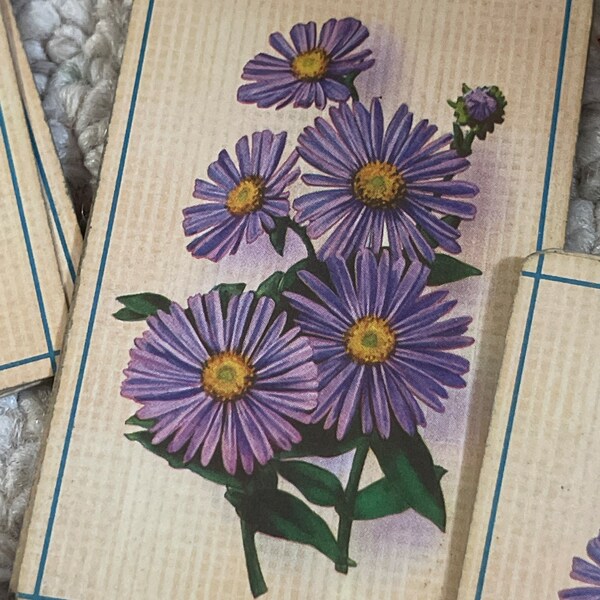1 Fall asters floral vintage grungy Playing Card swap