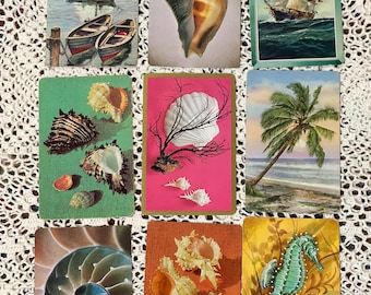 9 ocean themed  standard size playing cards sea shells
