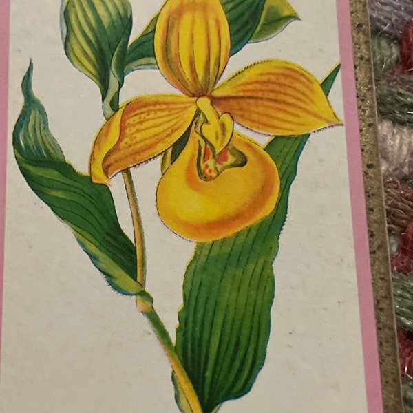 1 yellow orchid flower swap card lady slipper