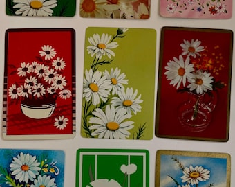 9 white daisy flowers collection standard size playing cards