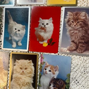 Op de afbeelding: Een verzameling vintage speelkaarten met illustraties van pluizige katten. De kaarten tonen verschillende rassen en poses, met achtergronden in rood, blauw en goud. Sommige kaarten hebben bloemaccenten.