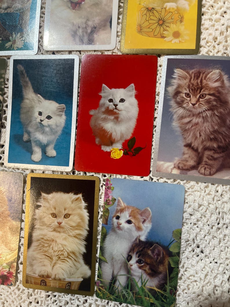 Op de afbeelding: Een verzameling vintage speelkaarten met illustraties van pluizige katten. De kaarten tonen verschillende rassen en poses, met achtergronden in rood, blauw en goud. Sommige kaarten hebben bloemaccenten.