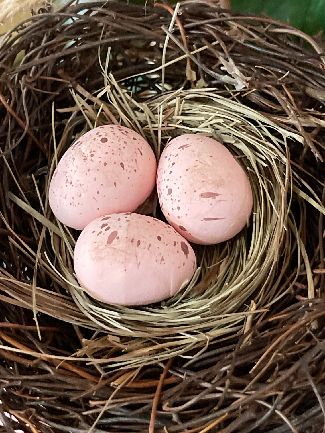 bird nest with speckled pink eggs Etsy