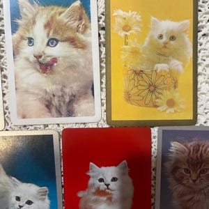 Op de afbeelding: Een verzameling vintage speelkaarten met schattige kattenillustraties. Elke kaart toont een ander pluizig katje in verschillende poses, met achtergronden in blauw, geel en rood. De kaarten zijn gerangschikt op een witte, getextureerde ondergrond.