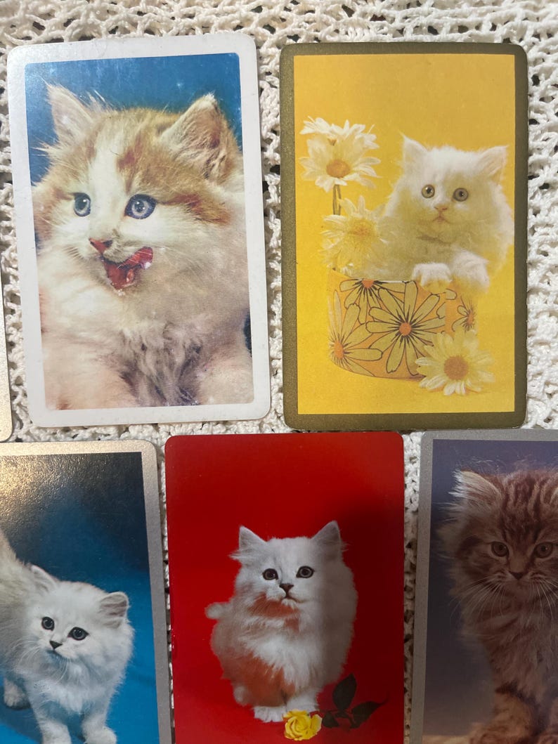 Op de afbeelding: Een verzameling vintage speelkaarten met schattige kattenillustraties. Elke kaart toont een ander pluizig katje in verschillende poses, met achtergronden in blauw, geel en rood. De kaarten zijn gerangschikt op een witte, getextureerde ondergrond.