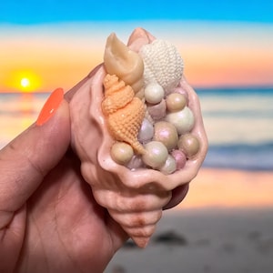 May include: A decorative seashell sculpture filled with pearls and other seashells. The sculpture is in shades of peach, cream, and beige, with a textured surface. The background shows a sunset over the ocean.