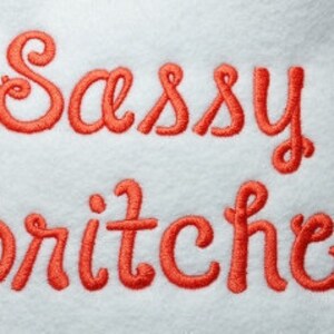 Sassy Britches Embroidery Font BX Font