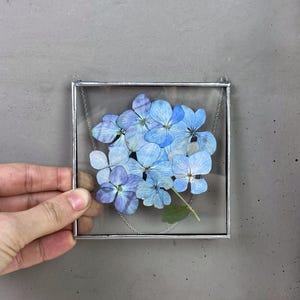 Pode incluir: Uma moldura quadrada de vidro com uma borda de metal prateada, contendo um arranjo de flores de hortênsia azul prensadas. A moldura tem uma corrente prateada pendurada no topo.