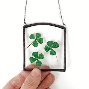 Lucky clover pressed in floating frame - pressed flower art, stained glass clover, St Patrick&#39;s gift, clover charm