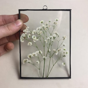 Geperste babyadem in zwevend glazen frame - geperste bloemkunst, babycadeau, glas-in-loodpaneel