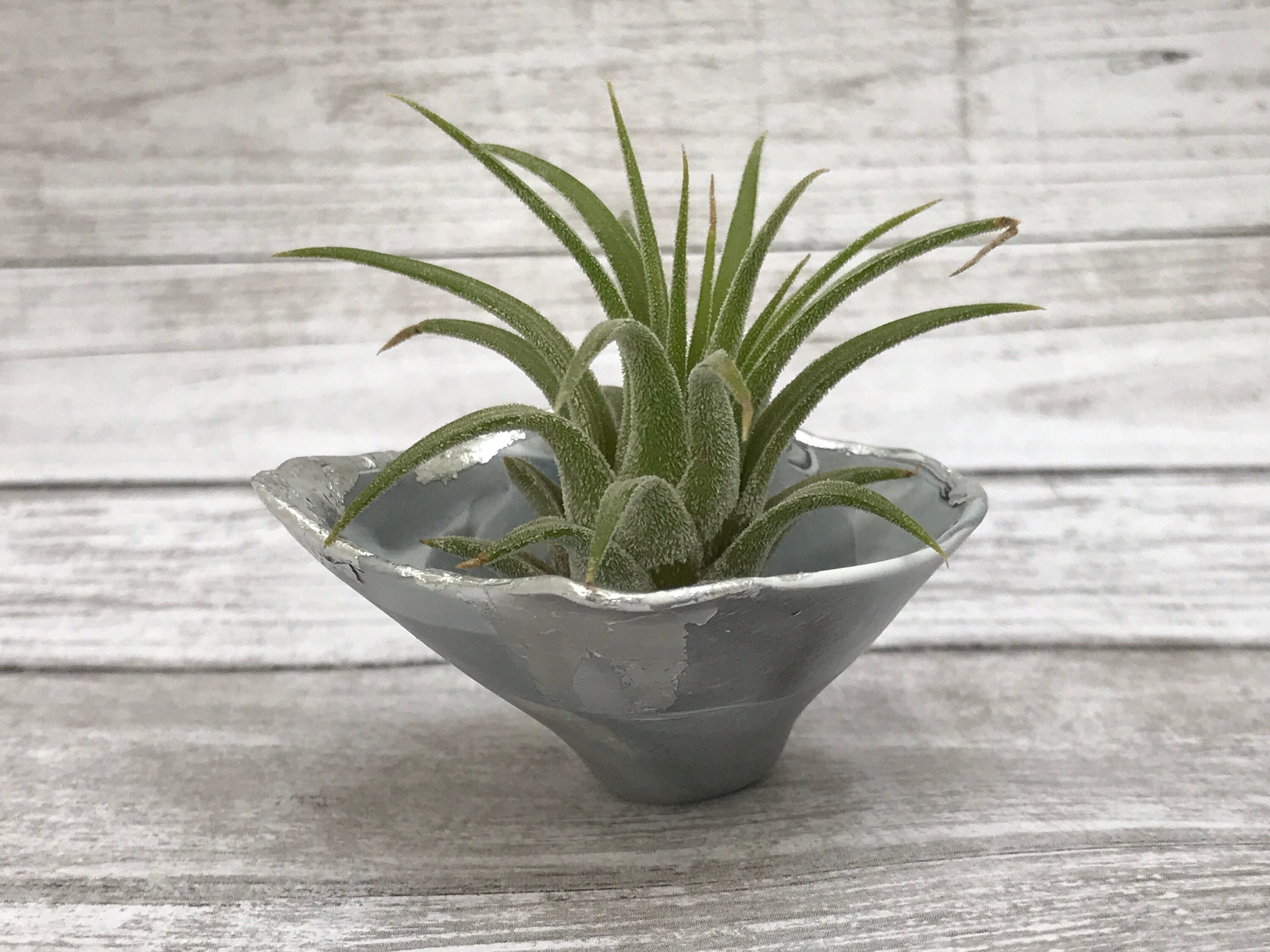 Air Plant Pot Polymer clay pot Pinch pot tiny Clay Pottery Etsy