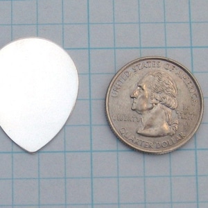 以下が含まれることがあります： 涙の形をした銀色のギターピックと、大きさ比較用のアメリカ合衆国25セント硬貨