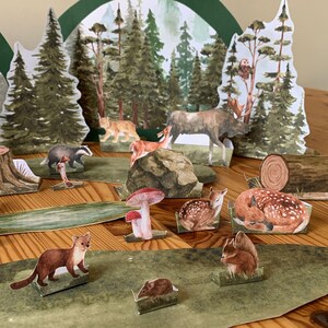 K&ouml;nnte beinhalten: Ein Walddiorama mit Papierschnitten von B&auml;umen, Tieren und Pilzen. Die Szene umfasst einen Elch, Hirsche, einen Fuchs, einen Dachs, ein Eichh&ouml;rnchen und ein schlafendes Reh. Der Hintergrund zeigt eine Aquarell-Waldszene.