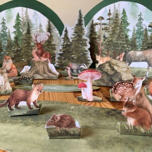 K&ouml;nnte beinhalten: Ein Diorama mit Papierschnitten von Waldtieren, darunter ein Hirsch, ein Fuchs, ein Eichh&ouml;rnchen und ein Dachs, vor einer Kulisse aus aquarellierten B&auml;umen. Ein Pilz und eine Maus sind ebenfalls vorhanden. Die Szene befindet sich auf einer gr&uuml;nen Oberfl&auml;che.
