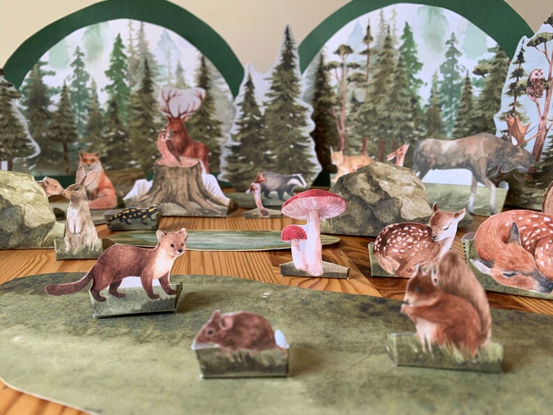 K&ouml;nnte beinhalten: Ein Diorama mit Papierschnitten von Waldtieren, darunter ein Hirsch, ein Fuchs, ein Eichh&ouml;rnchen und ein Dachs, vor einer Kulisse aus aquarellierten B&auml;umen. Ein Pilz und eine Maus sind ebenfalls vorhanden. Die Szene befindet sich auf einer gr&uuml;nen Oberfl&auml;che.