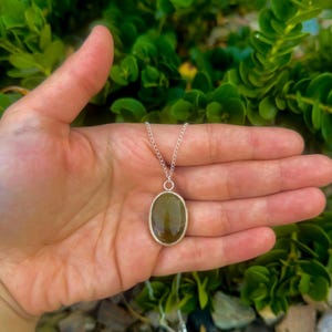 Petrified Wood Necklace: Fine Silver Pendant, Sterling Silver Chain