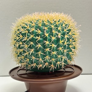 Vintage Cactus Fiber Table Lamp Rare