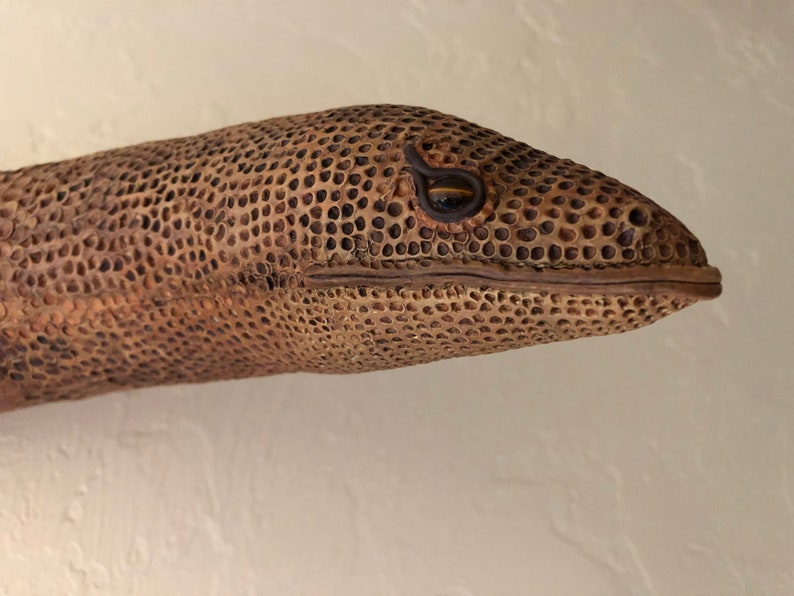 Snake Original Snake Original