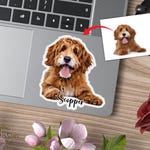 Cartoon Pet Stickers