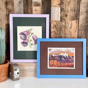 May include: Two framed art prints: one in a lavender frame featuring purple foxglove flowers with skull patterns, and one in a blue frame depicting a landscape with snow-capped mountains and red rock formations, alongside a cactus and a vintage camera.