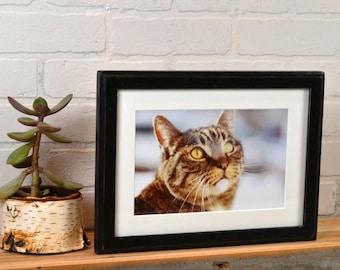 A4 Size Picture Frame in Vintage Color and Style of Your Choice - Solid Hardwood Frames - 210 x 297 mm - 8.3 x 11.7 inches European A 4 Size