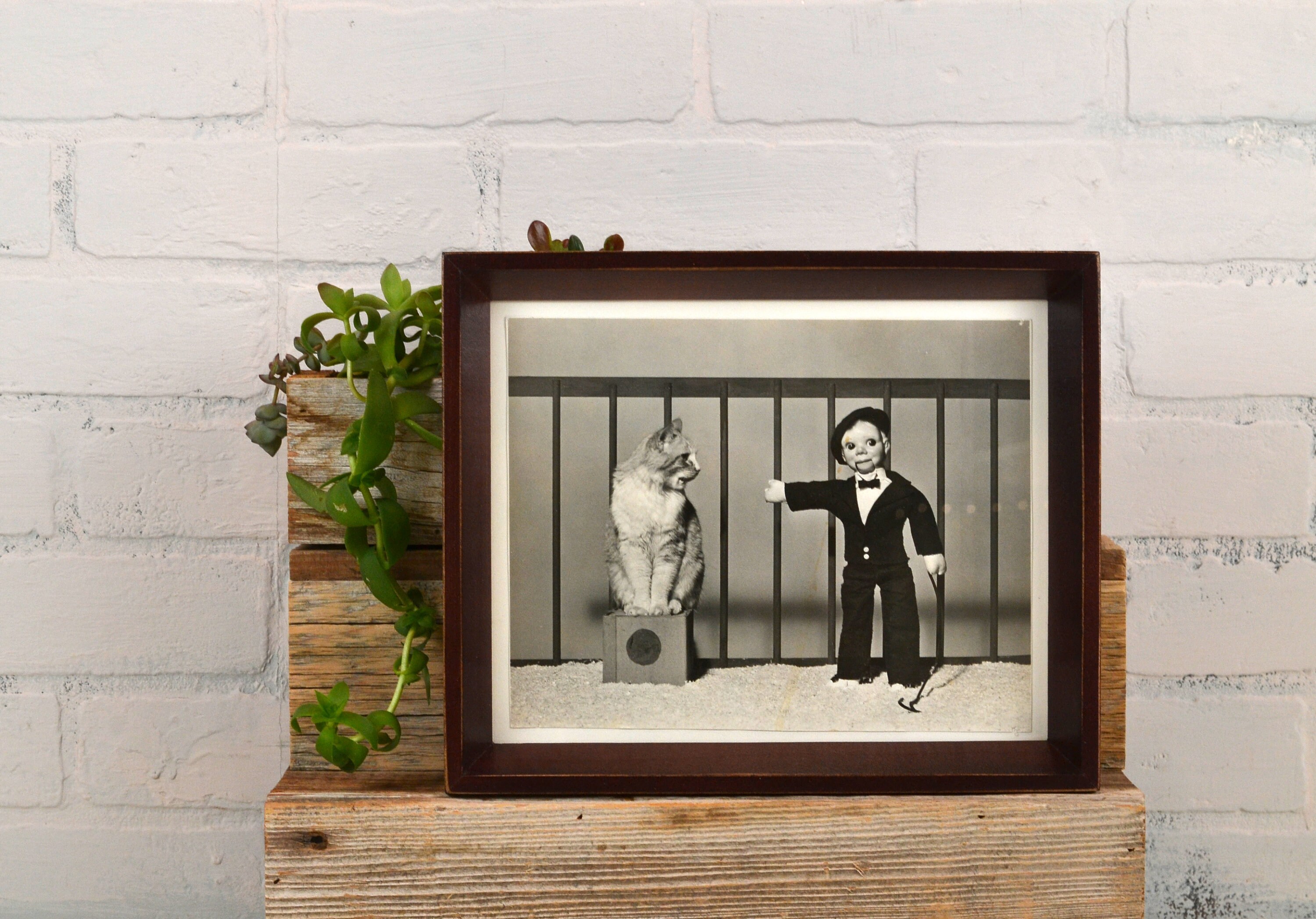 a photoframe a photoframe