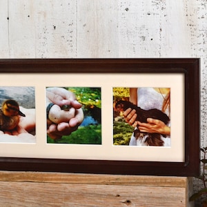 6x15&quot; Picture Frame in Double Cove Style with Mat Window Openings for (3) 4x4 Photographs and in Color of YOUR CHOICE - Collage Frame 4x4