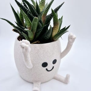May include: A small succulent plant in a light beige, cartoon-style pot. The pot has arms and legs, and a smiling face. The plant has dark green, pointed leaves with lighter green and brown accents.