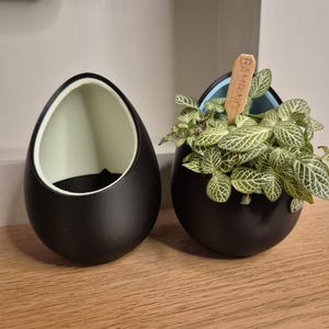 May include: Two black ceramic egg-shaped planters, one with a light green interior and the other with a light blue interior. The planter with the blue interior has a small plant with green leaves and a wooden plant marker that says "BAMBOO".