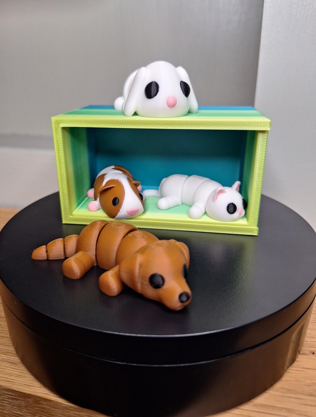 Family Animals Pet Box Set, 3d Printed Articulated Fidget Toys, Sensory ...