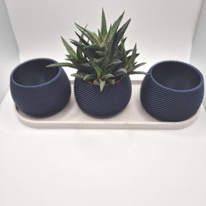 May include: Three navy blue plant pots with a textured, spiral design. A green succulent plant sits in the central pot. The pots are arranged on a light beige rectangular tray, offering a modern, minimalist look. Suitable for home decor.