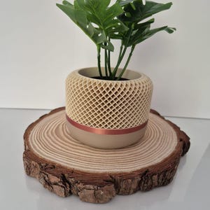 3D Printed Plant Pot: Modern Diamond Pattern Pod Style