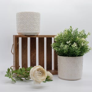 May include: Two cylindrical white ceramic planters featuring an embossed heart pattern. One planter holds a small green artificial plant, while the other sits empty atop a rectangular wooden crate with vertical slats. A single cream-coloured flower lies.