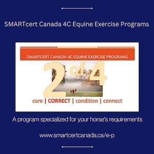 Exercise Program for Horses (2 of 4)