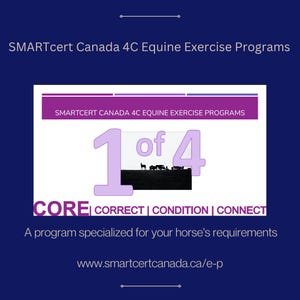 Exercise Program for Horses (1 of 4)