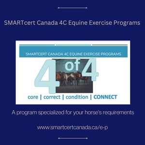 Exercise Program for Horses (4 of 4)