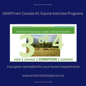 Exercise Program for Horses (3 of 4)
