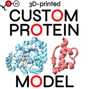 BENUTZERDEFINIERTE 3D-gedruckte CARTOON Protein Modell | Personalisiertes Geschenk für Wissenschaftler