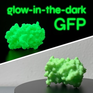 GLOWING Green Fluorescent Protein (GFP) | Custom 3D Printed Surface Model