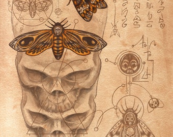 Death's Head Hawk Moth - Necronomicon style, Page From the Book of Gosh