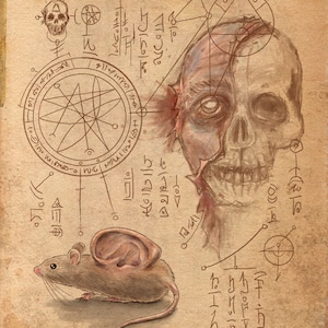 Ear mouse - Necronomicon or mad scientist&#39;s journal
