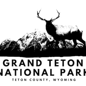Grand Teton Nationalpark Elch Hoodie | Unisex Heavy Blend Kapuzenpullover