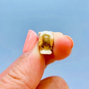 May include: A small, white ceramic figurine of a bear with brown fur details. The bear is facing forward with its mouth open, revealing a hollow interior.