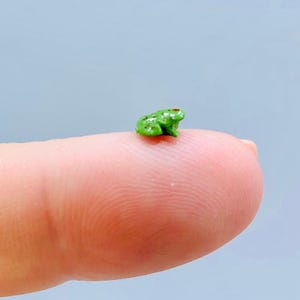 May include: A tiny green frog figurine with brown spots, sitting on a finger.