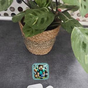 Peut inclure: Une plante d'intérieur en pot avec de grandes feuilles vertes et un panier tressé. Un autocollant Minecraft avec Steve et divers personnages est posé sur une surface gris foncé. Des autocollants carrés blancs sont au premier plan.