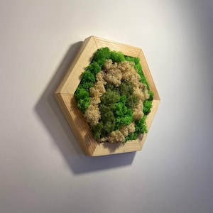 Natural Moss Wall Art set, Handmade Wall Decor Moss Art Framed  Modern Handmade Moss,  Reindeer Sheet, Moss Green  Wood Hexagon , Gift