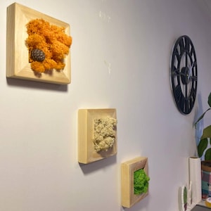 Natural Moss Wall Art | Handmade Wall Decor |Moss Art Framed Handmade Moss  ,Wood Square Frame | Preserved Moss | Live Moss | Green