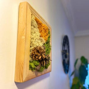Natural Moss Wall Art | Handmade Wall Decor |Moss Art Framed Handmade Moss  ,Wood Square Frame | Preserved Moss | Live Moss | Green